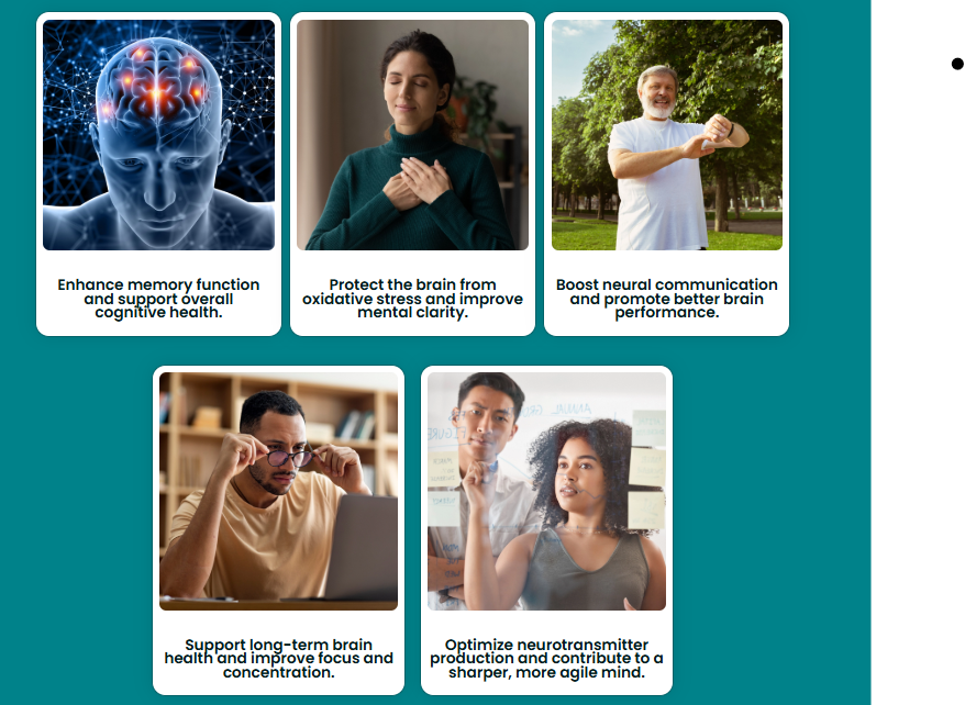 Memodyne benefits — memory, focus, mental clarity and brain health support